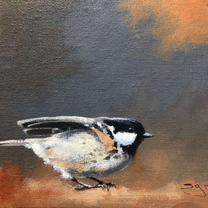 coaltit