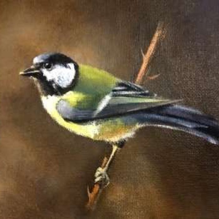 great tit website