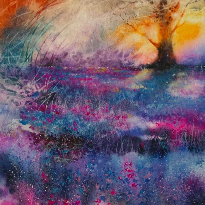 lavender fields